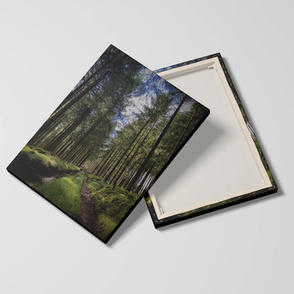 Tablou Peisaje - Calea Din Pădure - vedere fata verso