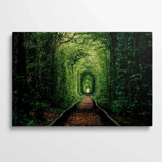 Tablou Peisaje - Tunel Verde Armonios - vedere din fata