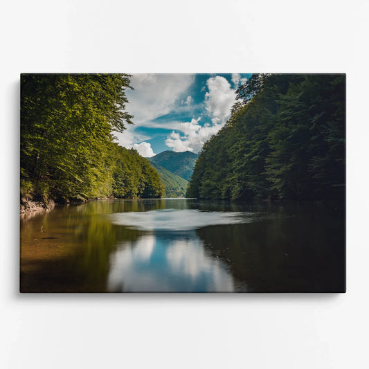 Tablou - Reflecții Naturale Vedere Fata