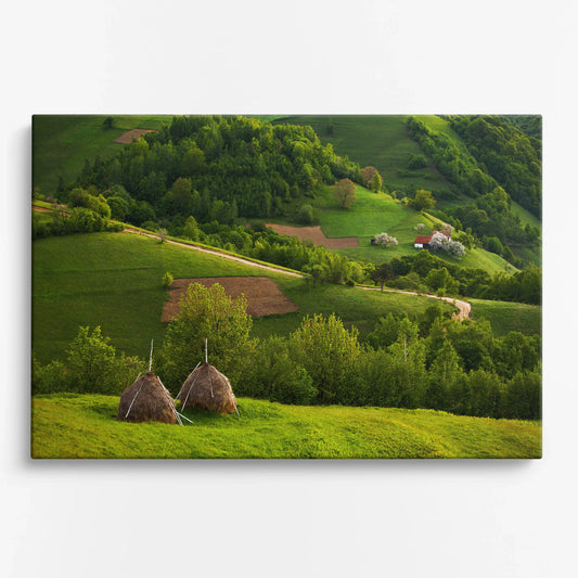 Tablou - Peisaj Rustic Idilic Vedere Fata