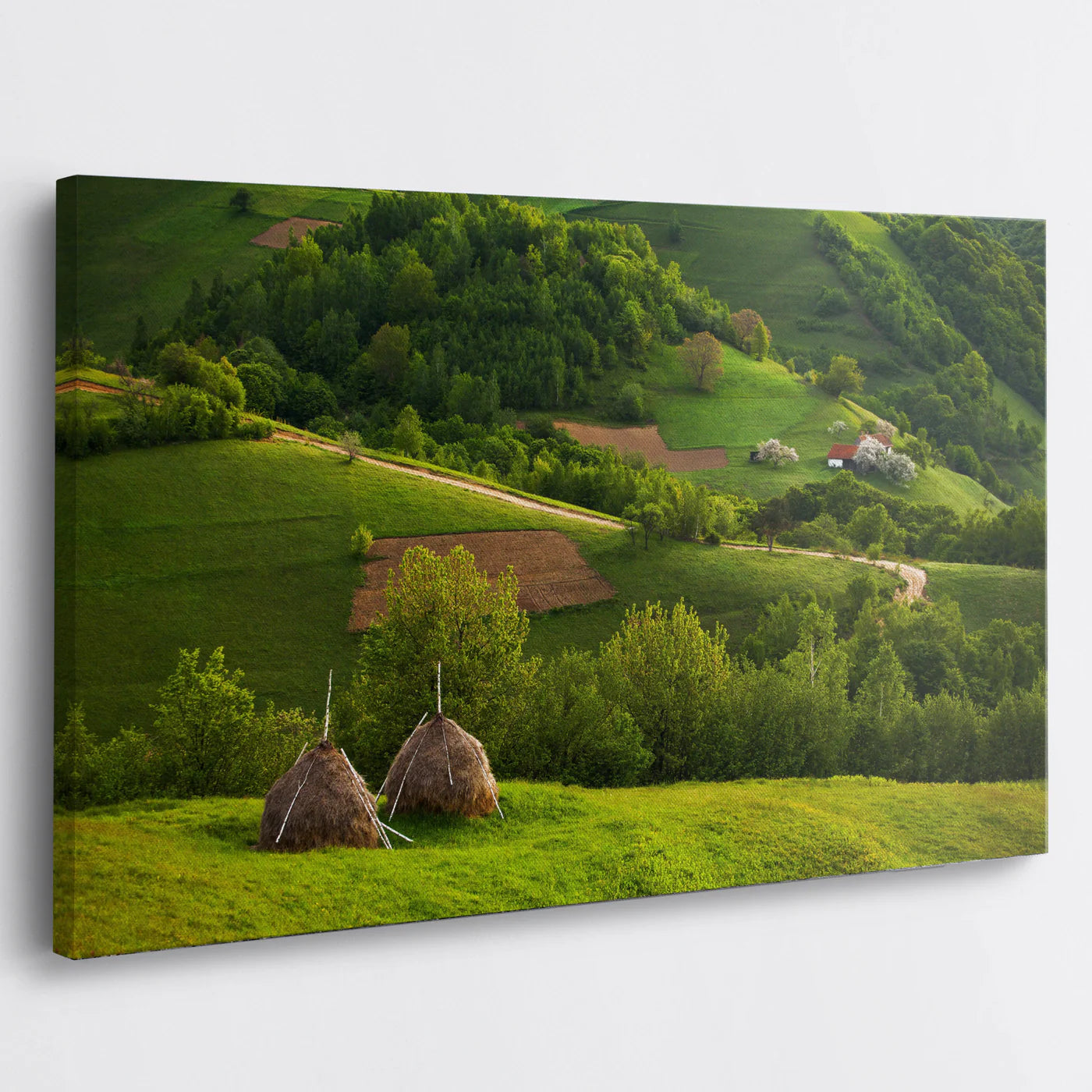 Tablou - Peisaj Rustic Idilic Vedere Living