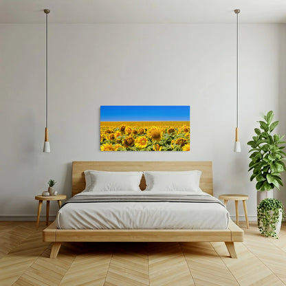 Tablou Peisaje - Câmp de Floarea Soarelui Colorat