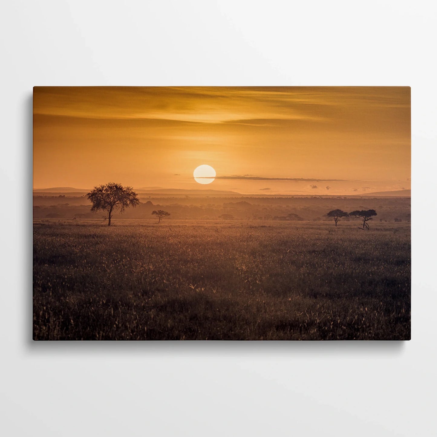 Tablou Peisaje - Răsărit Pe Savana Africană - vedere din fata