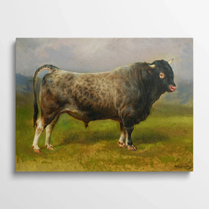 Tablou picturi celebre - Taur gri, Raffaëlli - vedere din fata