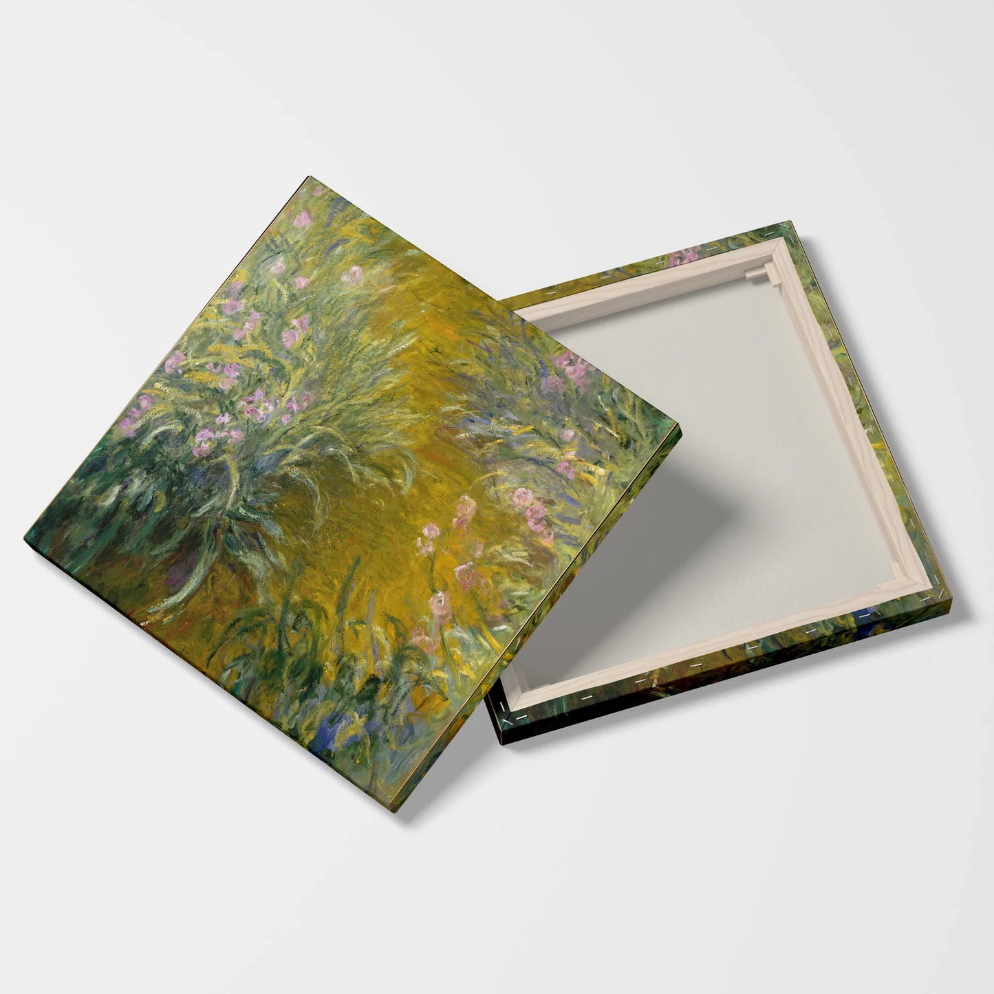Tablou Picturi - Calea Prin Irisi, Monet