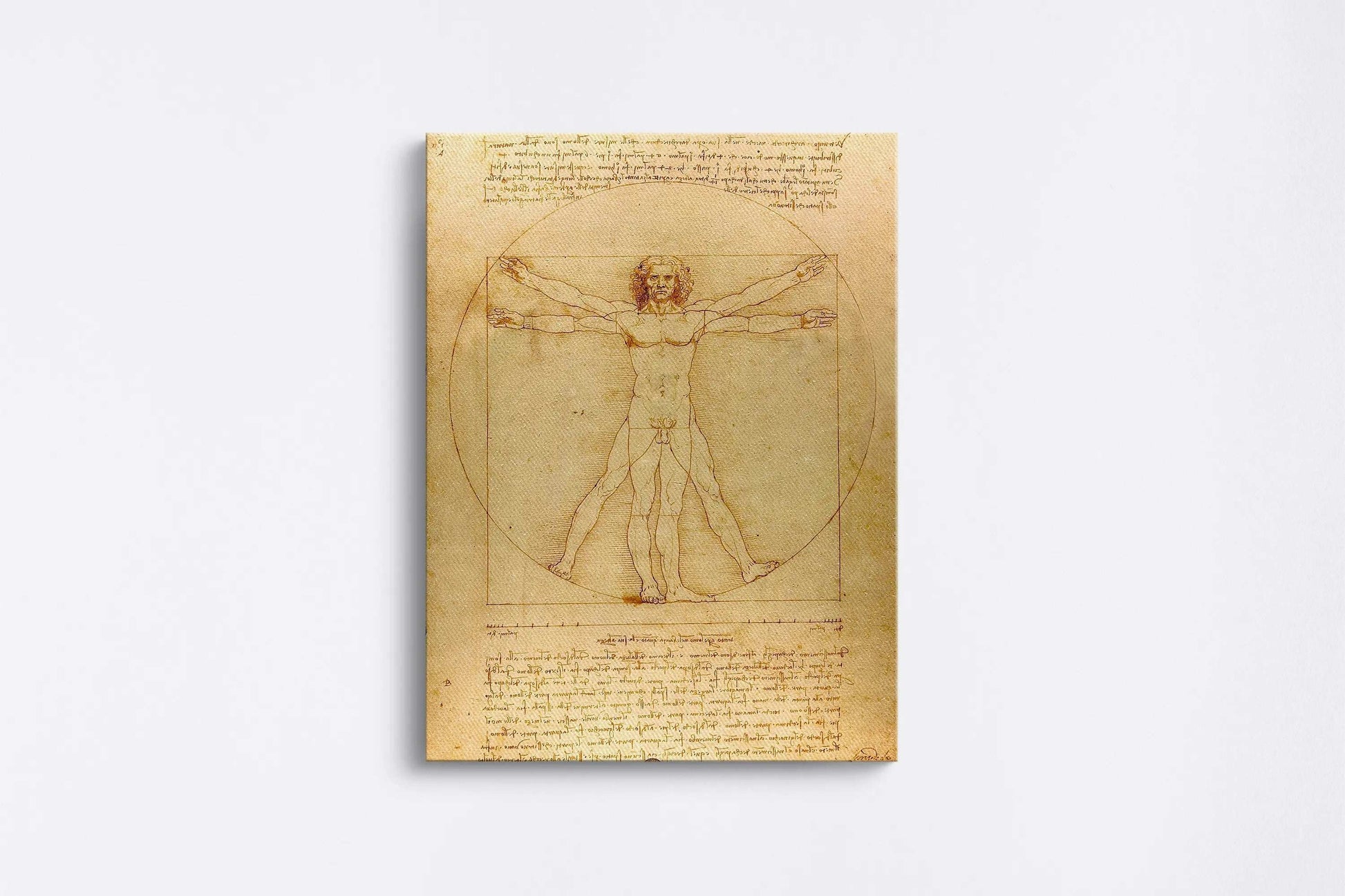 Tablou - Omul Vitruvian  (Leonardo) Vedere Fata