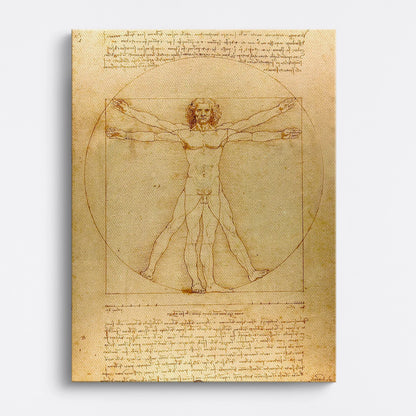 Tablou - Omul Vitruvian  (Leonardo) Vedere Fata