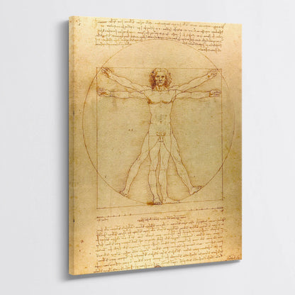 Tablou - Omul Vitruvian  (Leonardo) Vedere Living