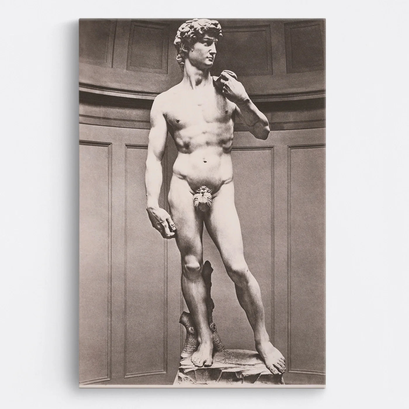 Tablou - David (Michelangelo) Vedere Fata