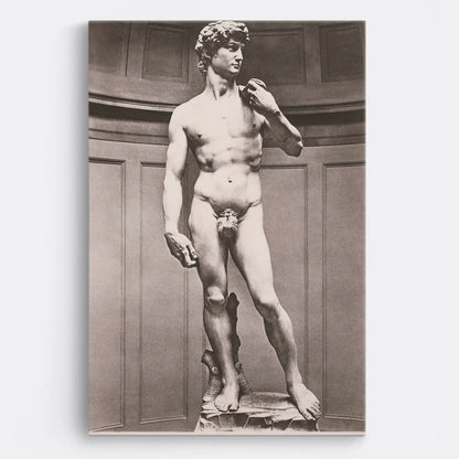 Tablou - David (Michelangelo) Vedere Fata