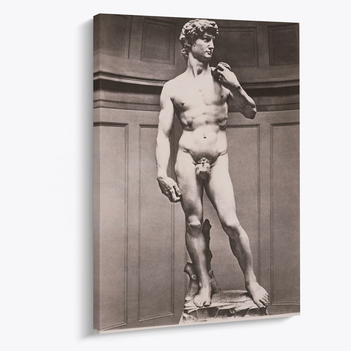 Tablou - David (Michelangelo) Vedere Living