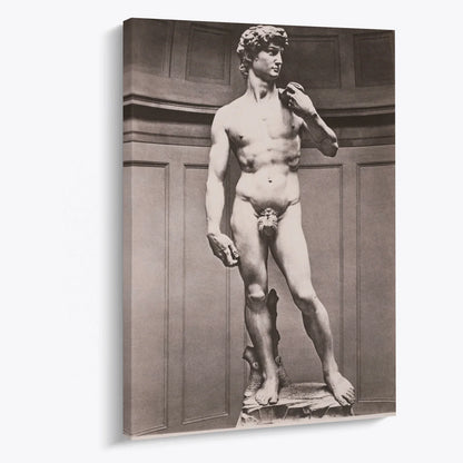 Tablou - David (Michelangelo) Vedere Living