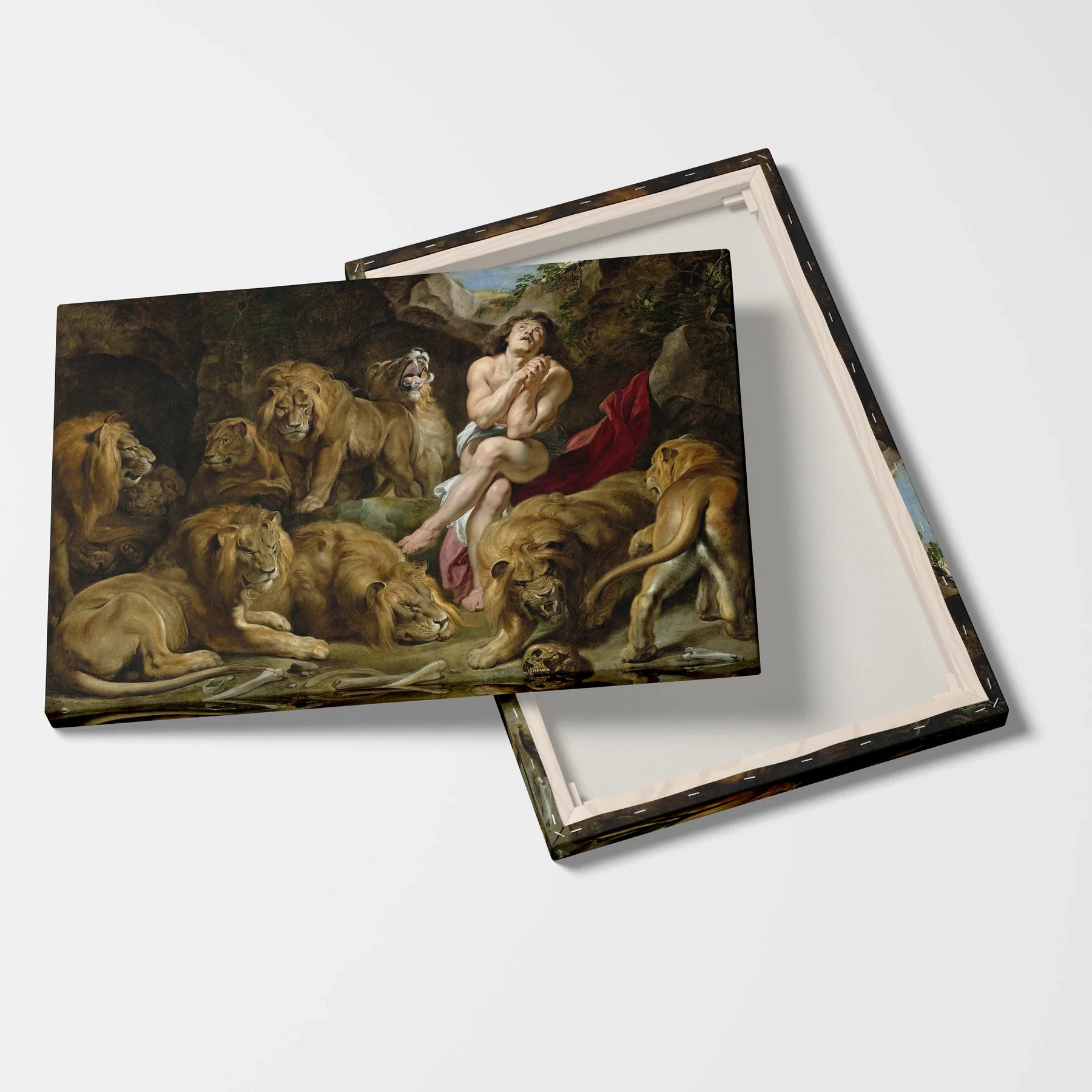 Tablou picturi celebre - Daniel în cușca leilor, Rubens - vedere fata verso