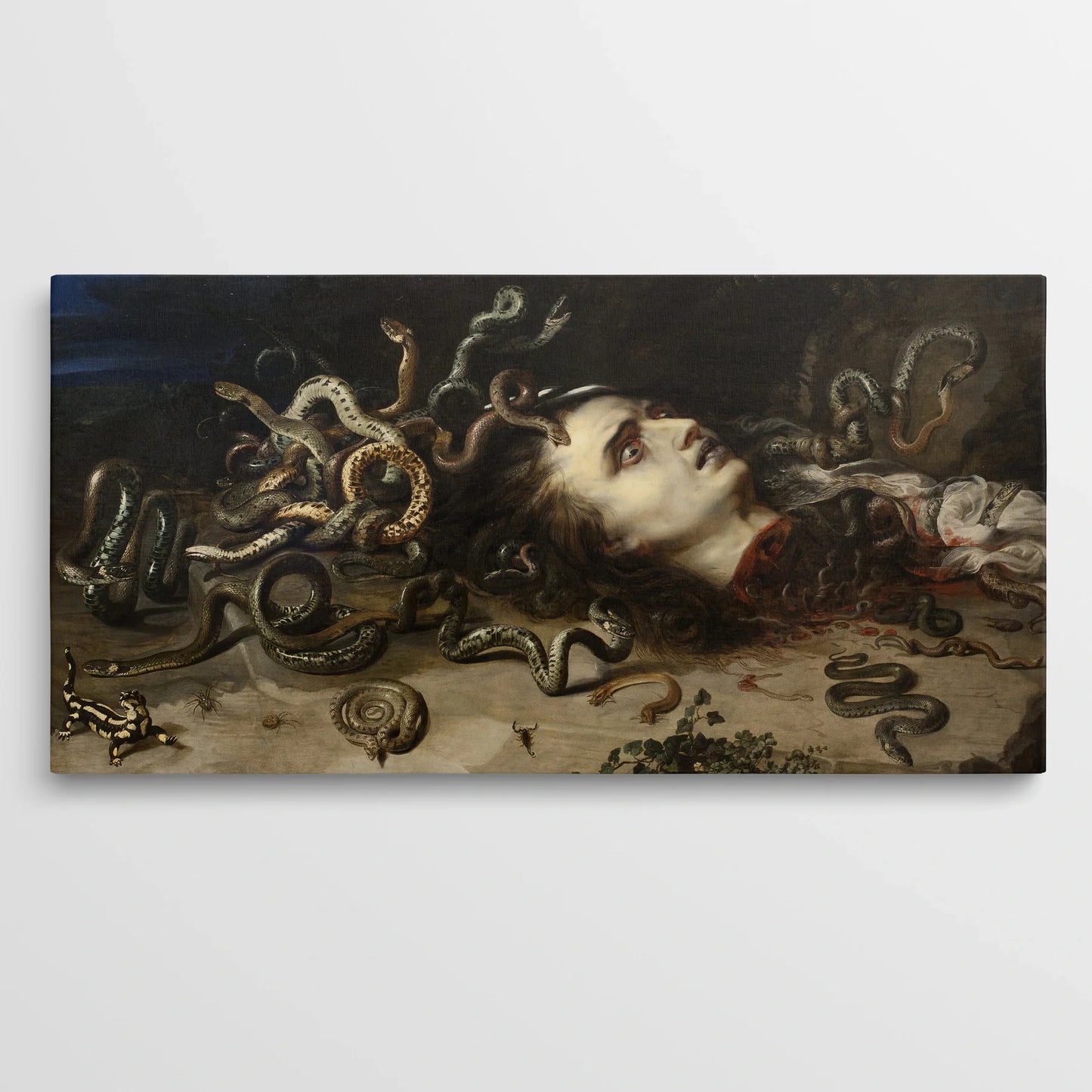 Tablou picturi celebre - Capul medusei, Rubens - vedere frontala